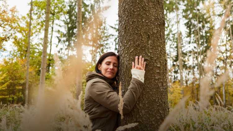 Forest Bathing memiliki manfaat bagi kesehatan_20240616_172608_0000