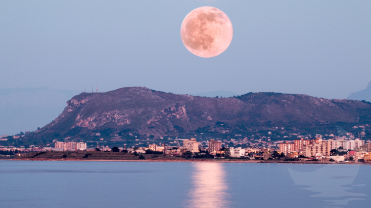 sun moon rising adalah