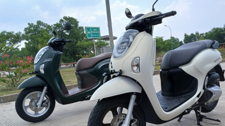 Honda Scoopy 2025