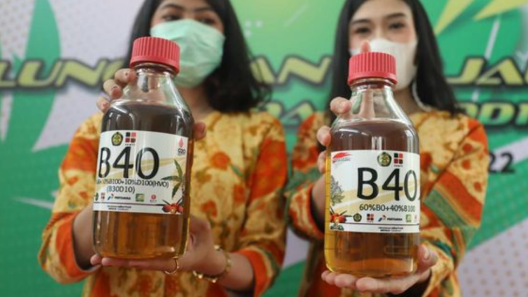 biodiesel b50